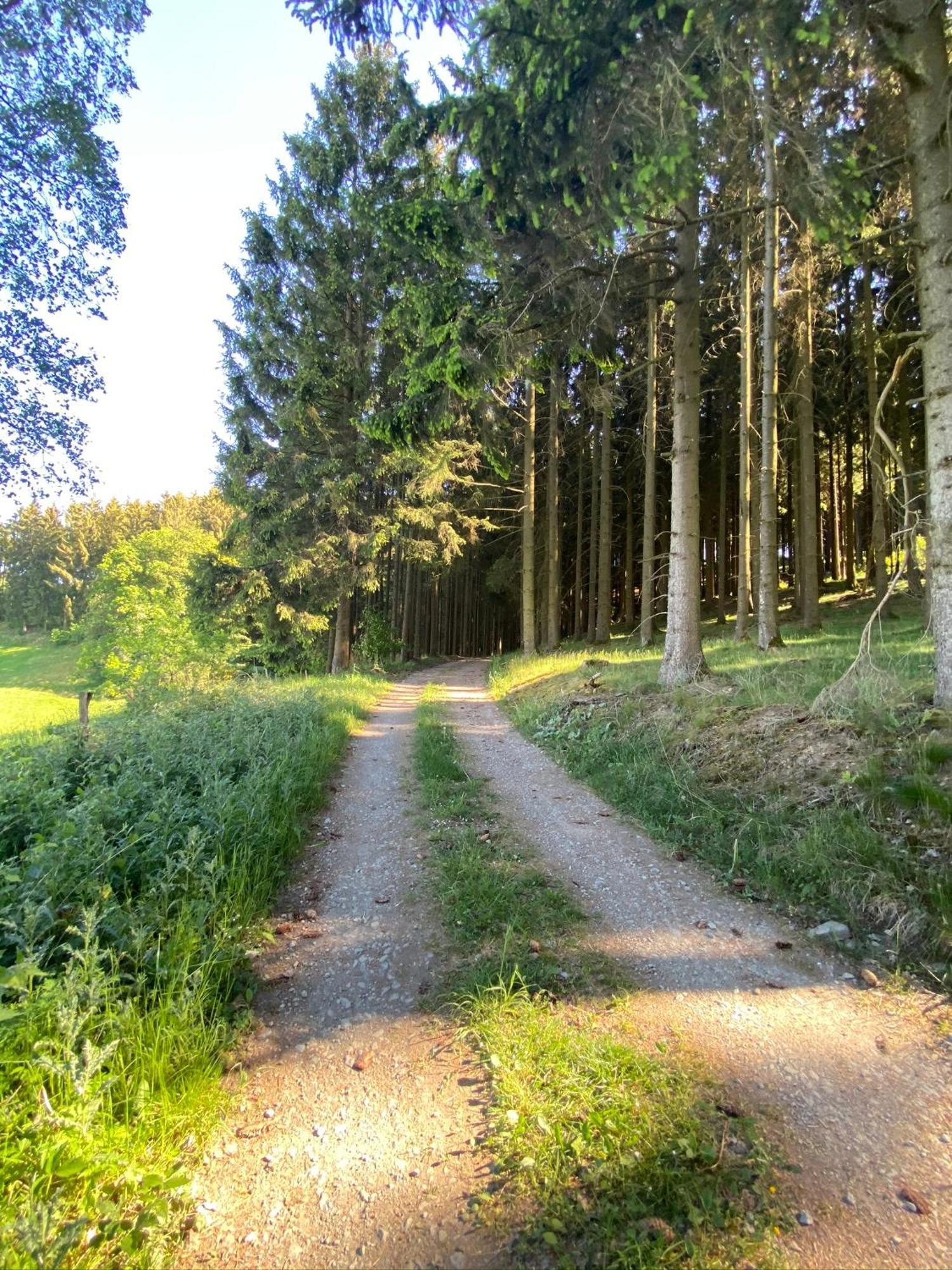Ferienwohnung Riekes Schmallenberg Esterno foto